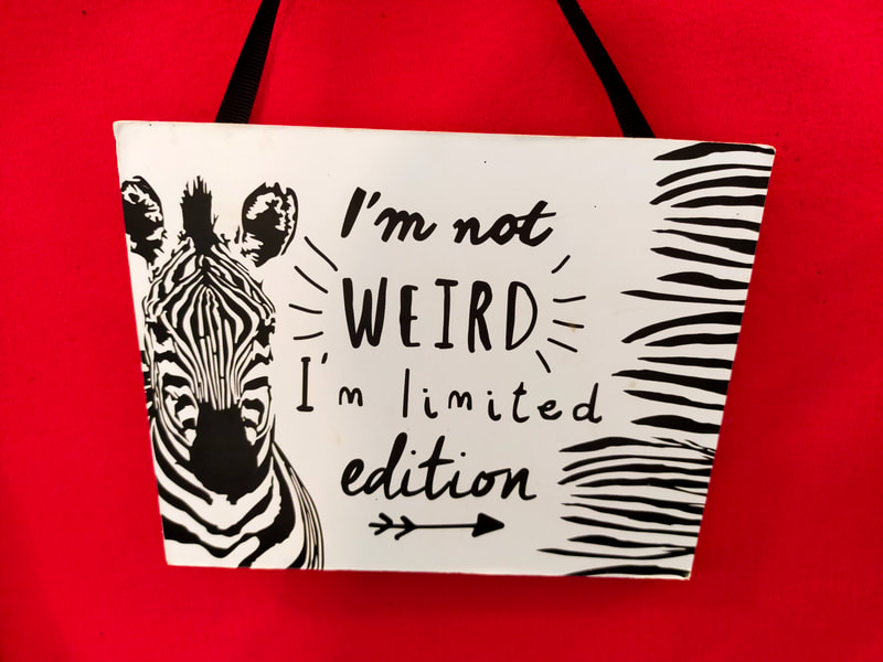 Picture shows a sign from inside The Core which I loved. It is a drawing of a zebra looking outwards and the caption reads: I'm not weird, I'm limited edition.
